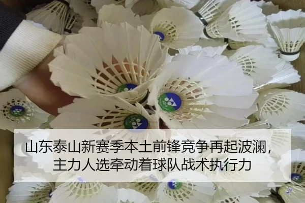 山东泰山新赛季本土前锋竞争再起波澜，主力人选牵动着球队战术执行力